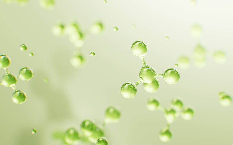 ECTOIN