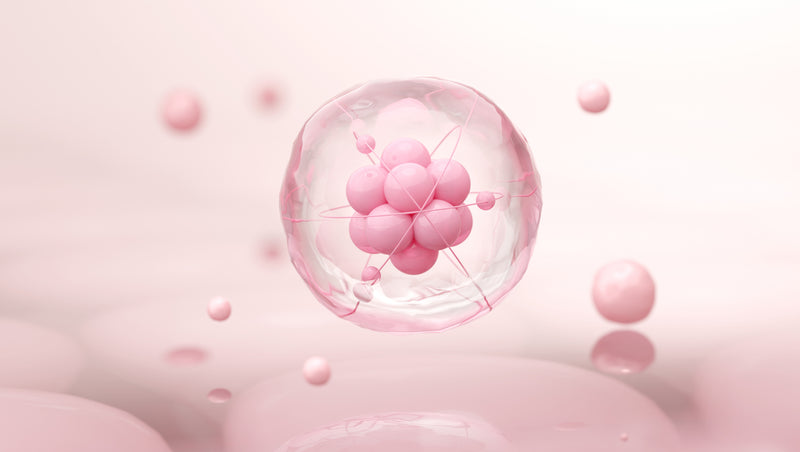 EXOSOME