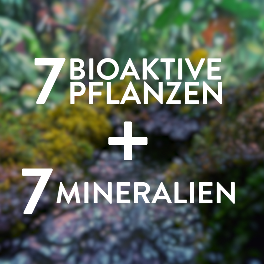 Gesichtsserum | Phytomineral | 7 Night Wonder Serum-in-Oil | Judith Williams