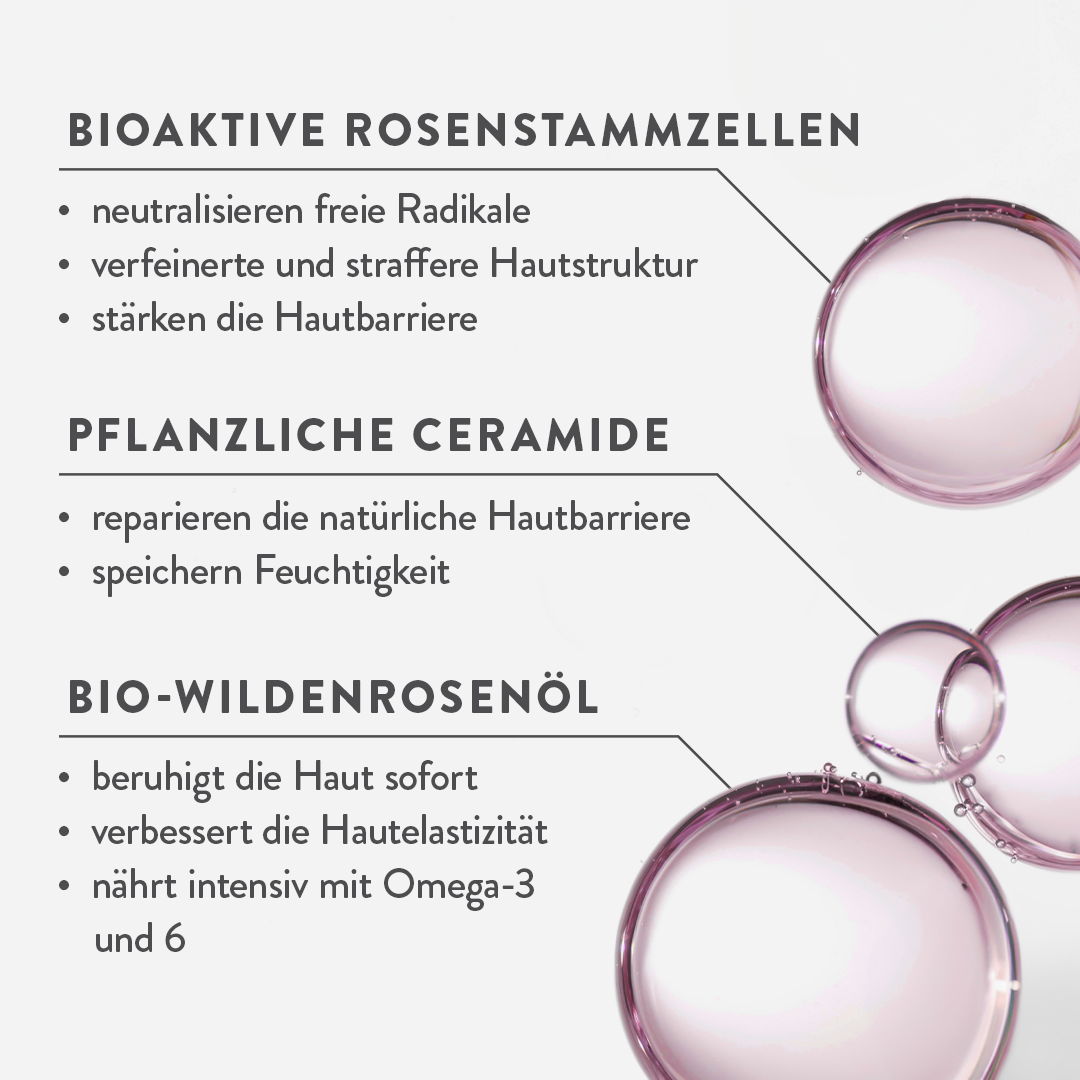 Gesichtscreme | Rose | Intensivpflegende Tagescreme Rose | Judith Williams